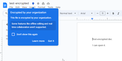 A Google Doc with the encryption mark.