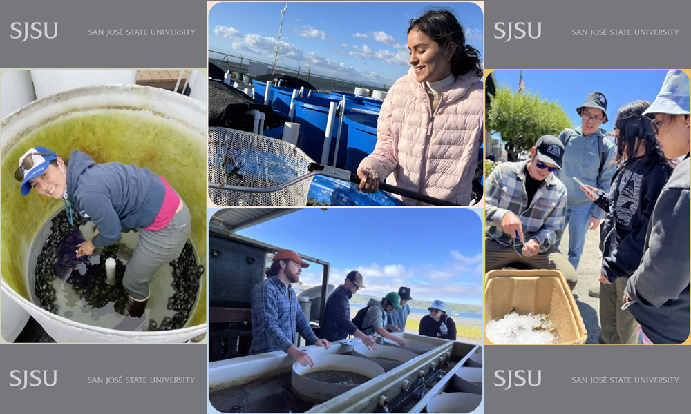 Maya deVries and other aquanauts